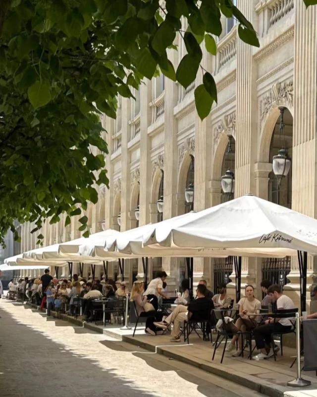 A simple moment, in a place full of meaning.
While sipping your coffee, take a moment to look at the Charles Oudin mosaic, it marks the very spot where the brand’s first boutique opened in 1797.

Places we love (and think you will too)
Café Kitsuné - Palais Royal
51, Galerie de Montpensier
75001 Paris

#CharlesOudin